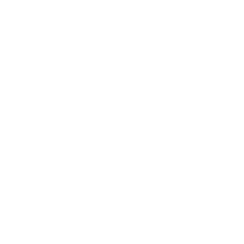 Dribbble Icon